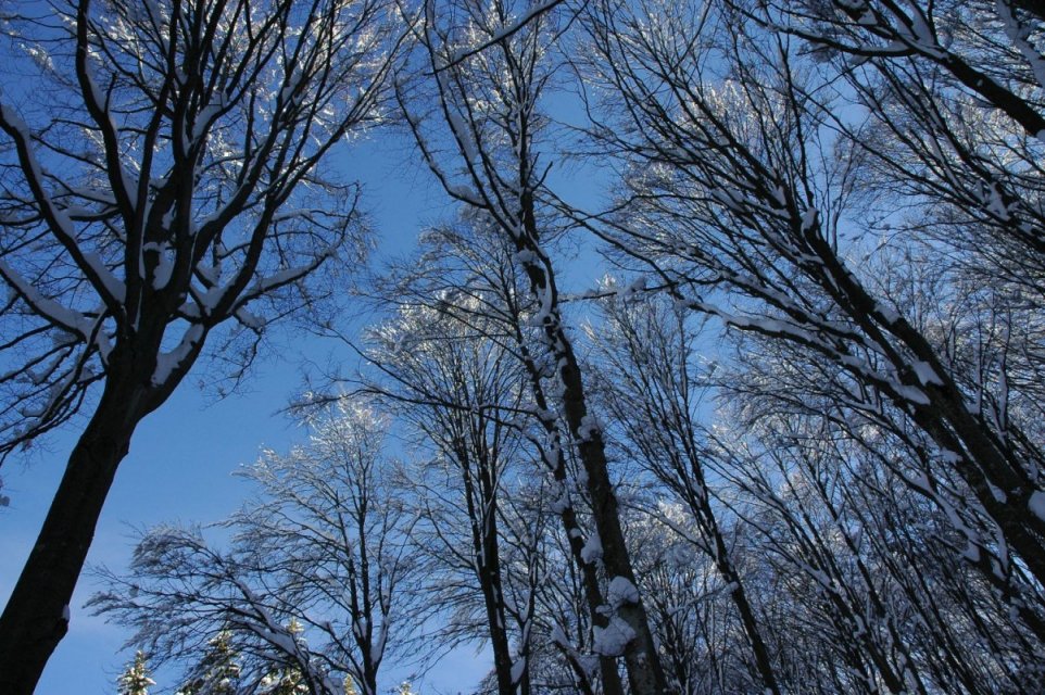 Parco Valentino al Monte Coltignone